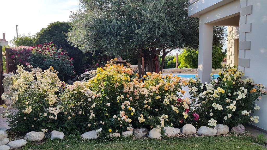 Jaime Villa Cyprus Аргака Экстерьер фото